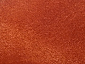 Коньяк Primavera 06