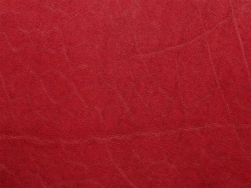 Примавера червона 11